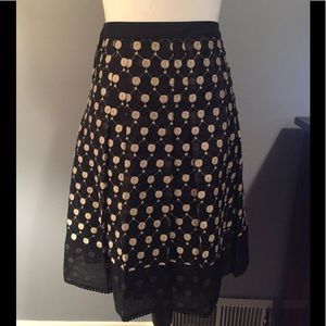 Ann Taylor Embroidered Polka Dot Skirt